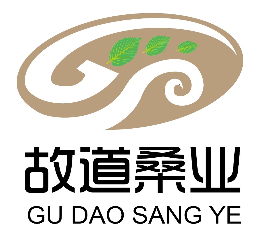 喝茶就可以防脫生發(fā)，太神奇了！桑葉養(yǎng)生茶