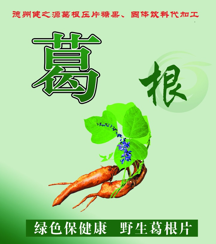 葛根，男女通用的人體調(diào)理專家