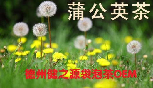 蒲公英茶，今天您喝了嗎？
