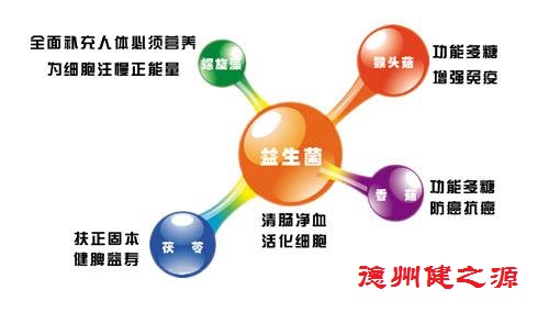 夏天腸胃問題頻發(fā)，您應(yīng)該用益生菌了