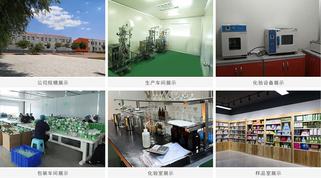 奶昔固體飲料代加工廠(chǎng)家-廠(chǎng)區(qū)介紹-德州健之源